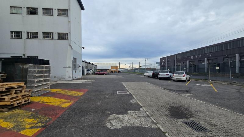 To Let commercial Property for Rent in Elsies River Industrial Western Cape